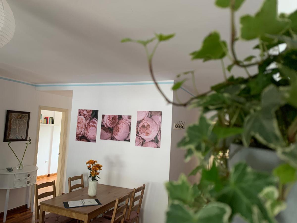 La Casita De Mi Alma - Das Haus Meiner Seele Tegueste Eksteriør billede